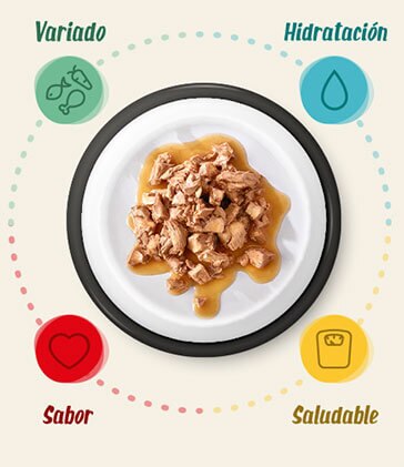 food catalog