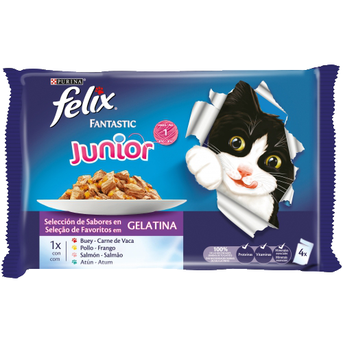 PURINA® FELIX® Fantastic Junior 4x100g pack