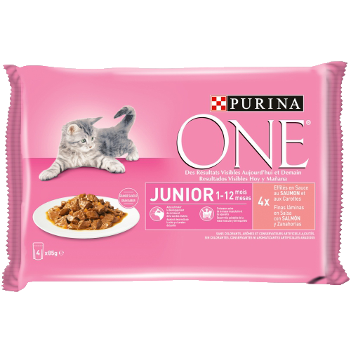 PURINA® ONE® Wet Junior 4x85g pack