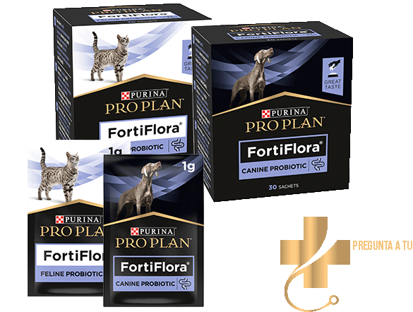 Productos FortiFlora Pro Plan Purina para perros y gatos