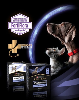 Productos FortiFlora Pro Plan Purina para perros y gatos