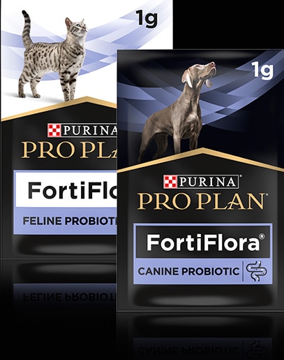 Productos FortiFlora Pro Plan Purina para perros y gatos de 1g
