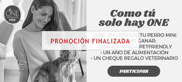 Purina ONE® Mini - Como tú solo hay ONE