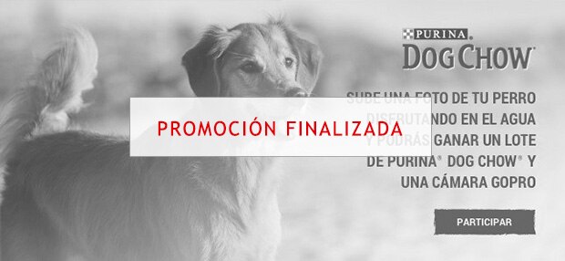 Purina® Dog Chow® - Dog Holidays