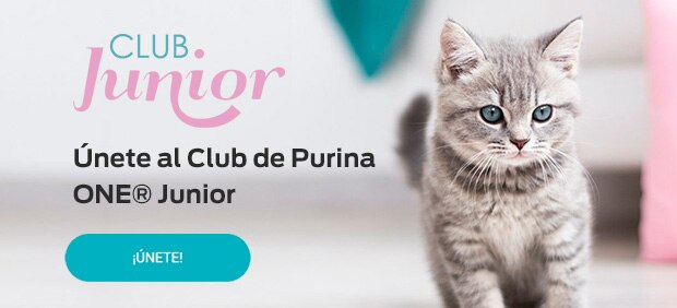 Club Purina ONE® Junior