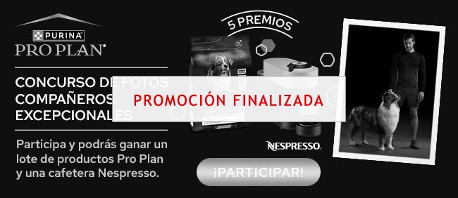 Concurso compañeros excepcionales