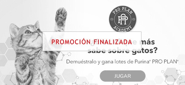 Purina PRO PLAN Academy