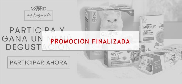 Consigue uno de los 50 menús gorumet