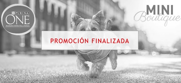 Purina one mini