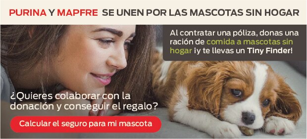 PURINA® y MAPFRE por las mascotas sin hogar