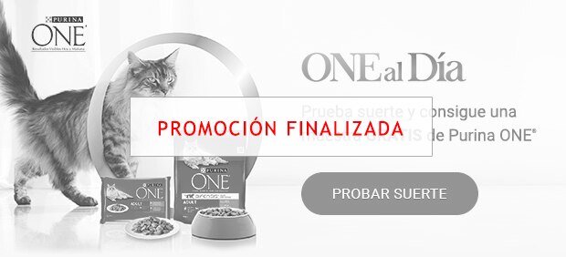 Purina ONE® Prueba gratis recetas salsa